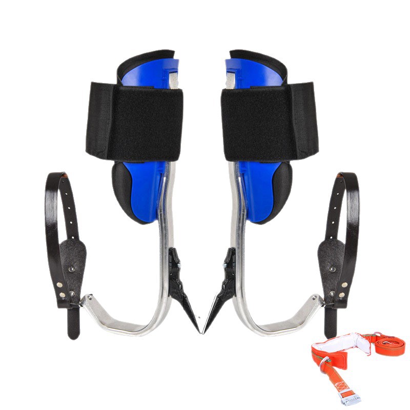 Outdoor Lighting On Trees - Chaussures antidérapantes pour la cueillette sur