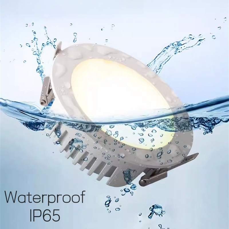 Downlights LED extérieurs étan - Outdoor Lighting Under Roof avis et prix